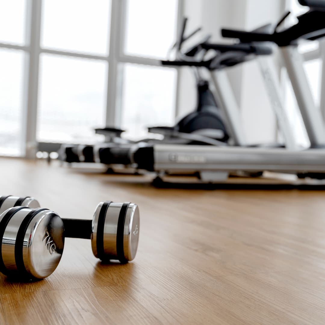 Dumbbells In The Gym On The Floor
